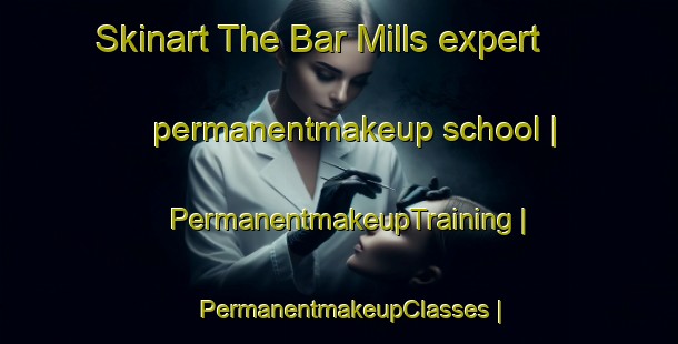 Skinart The Bar Mills expert permanentmakeup school | PermanentmakeupTraining | PermanentmakeupClasses | SkinartTraining-United States